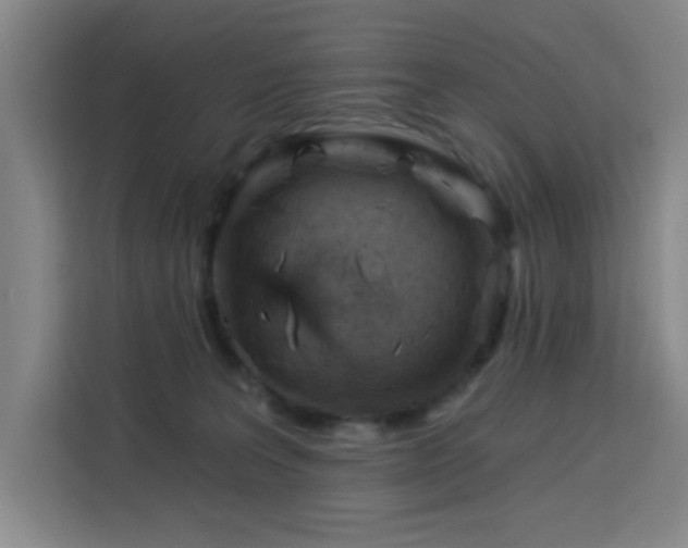 X0000113740227200909301018