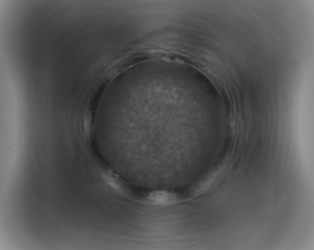 X0000113740231200909301018