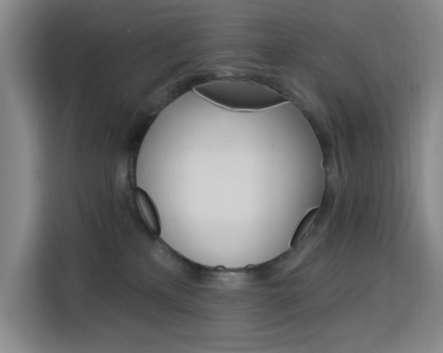 X0000113740233200909301017