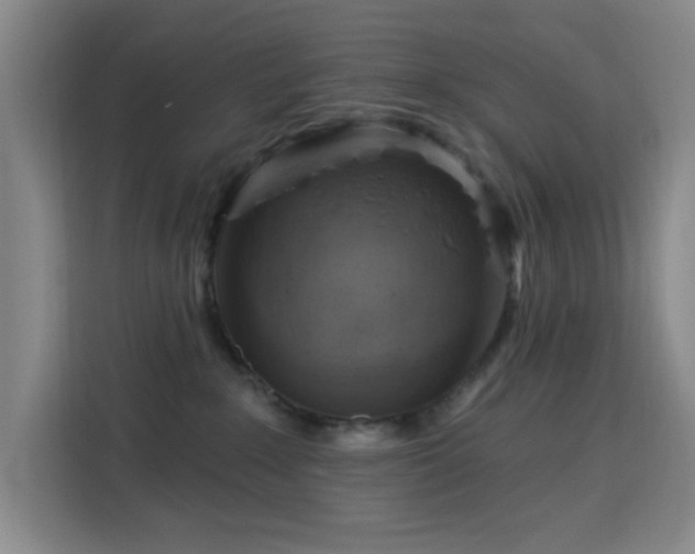 X0000113740235200909301017