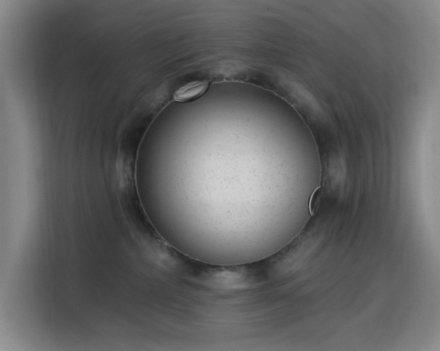 X0000113740236200909301017