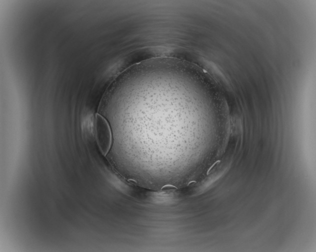 X0000113740238200909301017