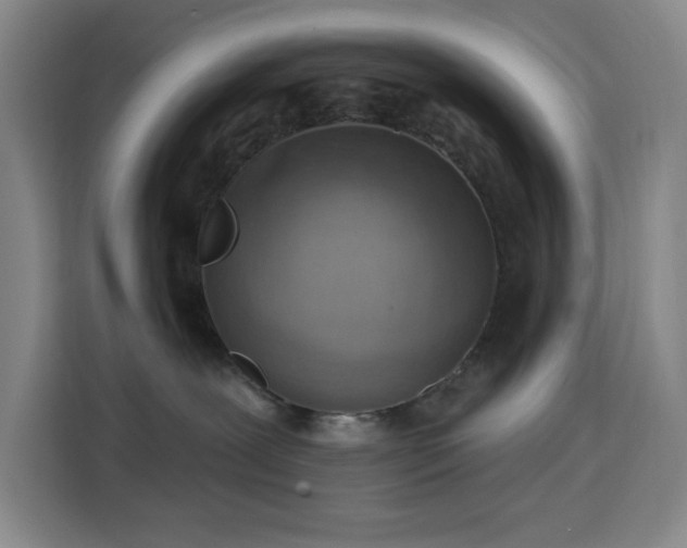 X0000113740239200909301017