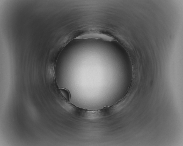 X0000113740240200909301017