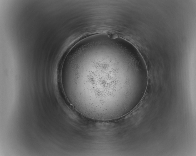 X0000113740242200909301017