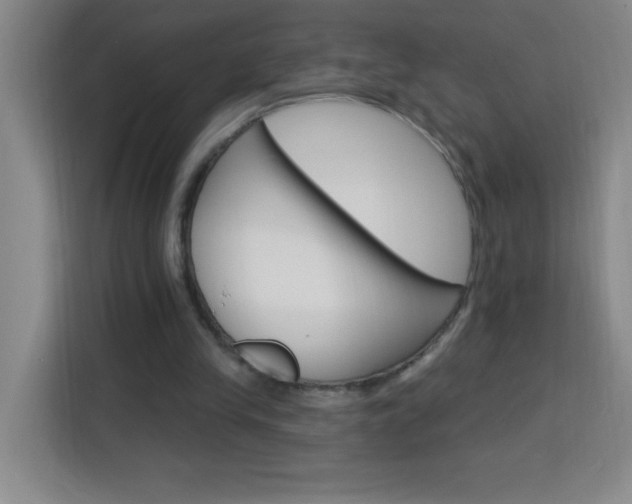 X0000113740245200909301017