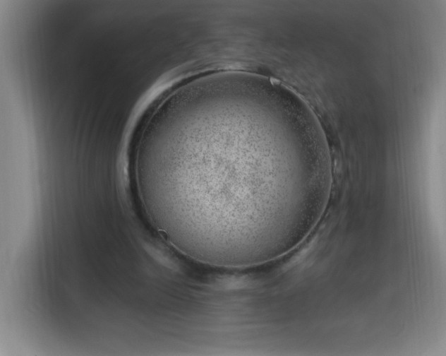 X0000113740246200909301017