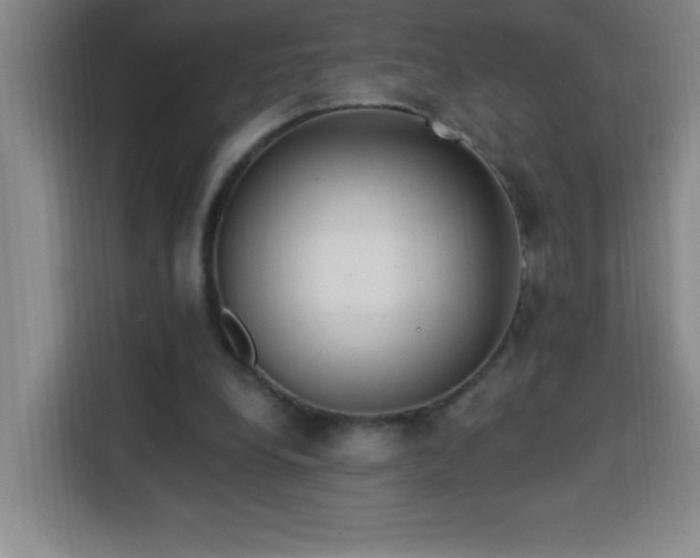 X0000113740248200909301017