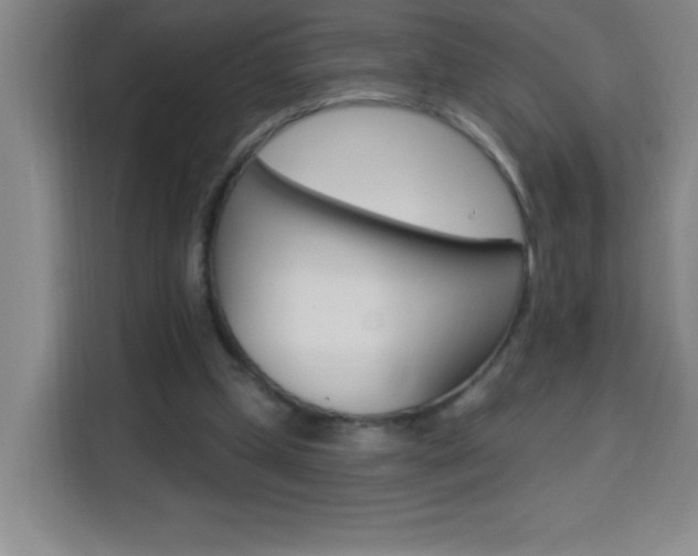 X0000113740249200909301017