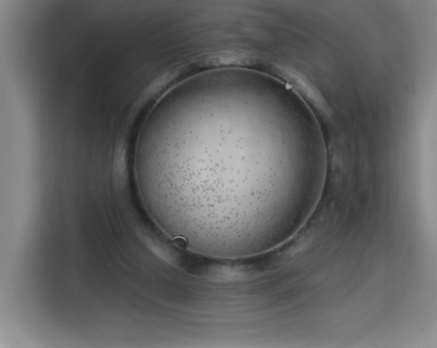 X0000113740250200909301017