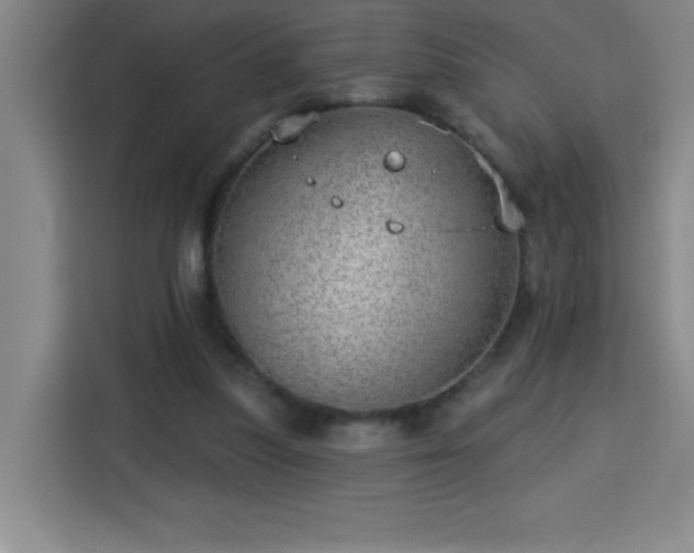 X0000113740251200909301017