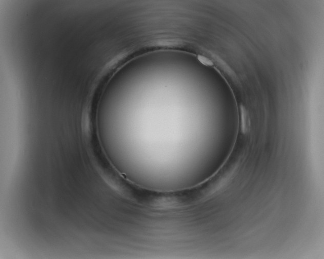 X0000113740252200909301017