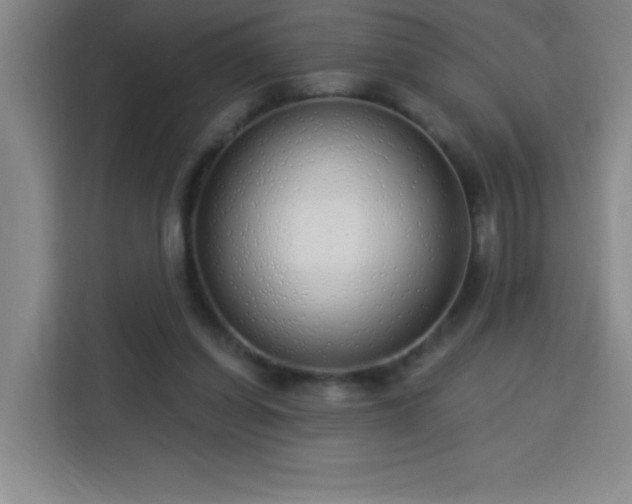 X0000113740254200909301017