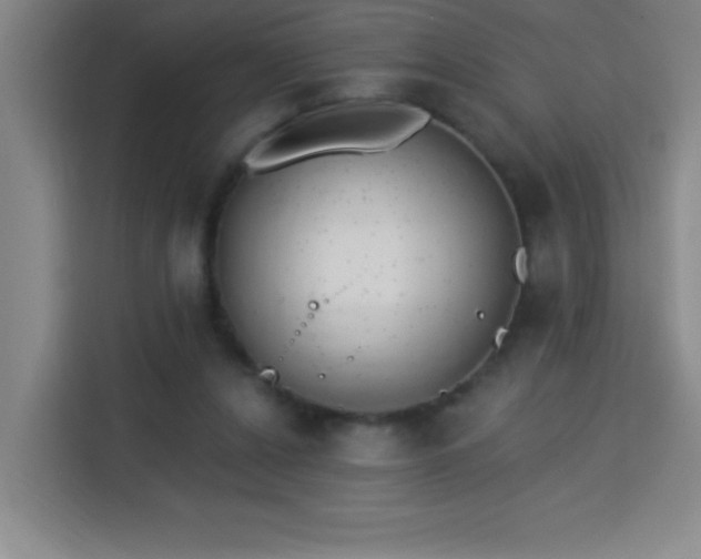 X0000113740256200909301017