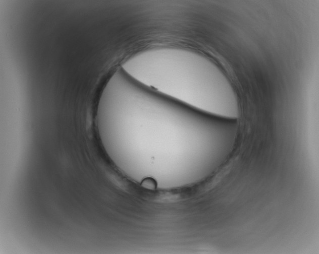 X0000113740257200909301017