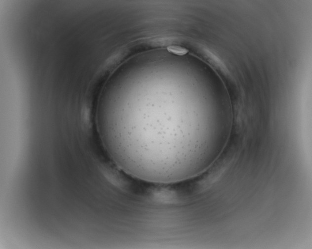 X0000113740258200909301017