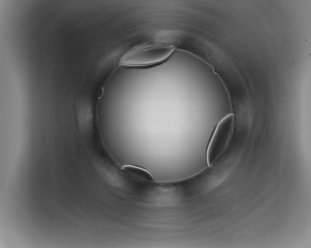 X0000113740260200909301017