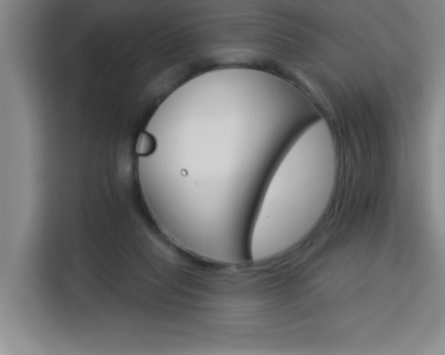 X0000113740261200909301017