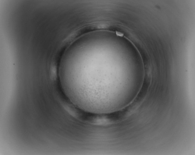 X0000113740262200909301017