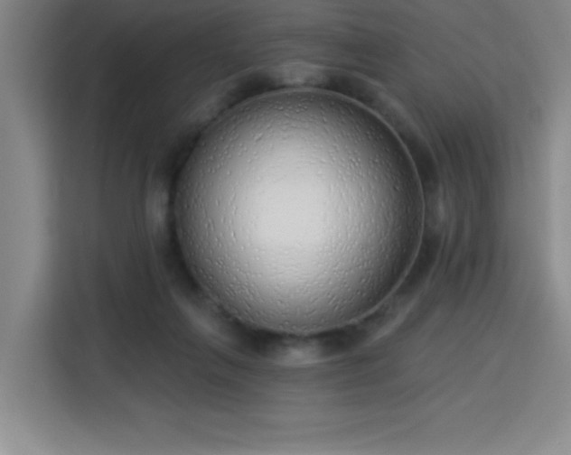 X0000113740263200909301017