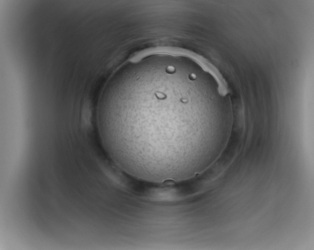 X0000113740266200909301017