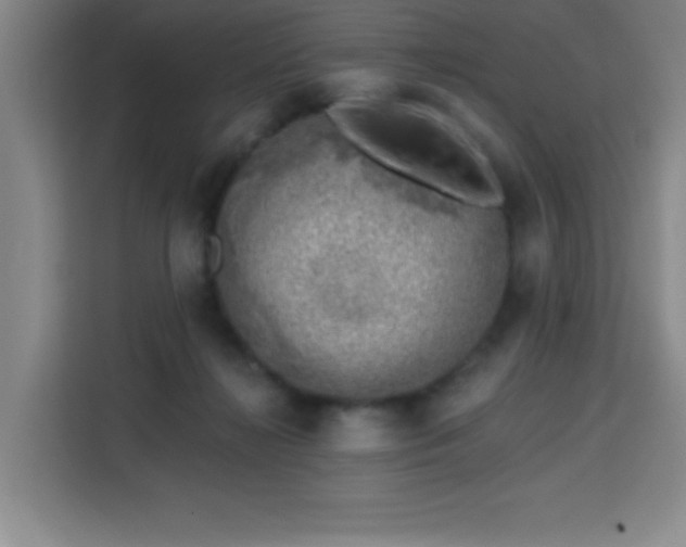 X0000113740268200909301017