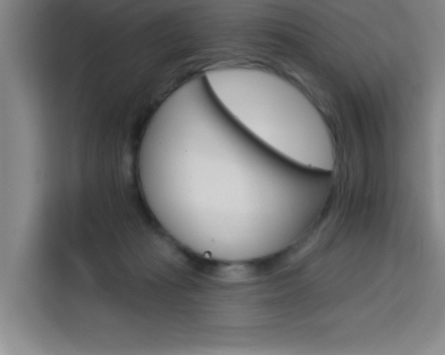 X0000113740269200909301017