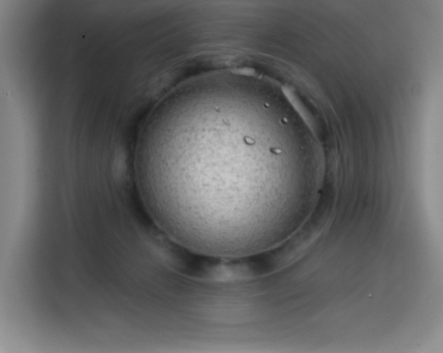 X0000113740270200909301017