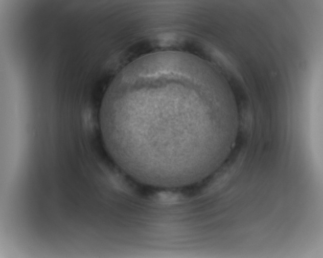 X0000113740272200909301017