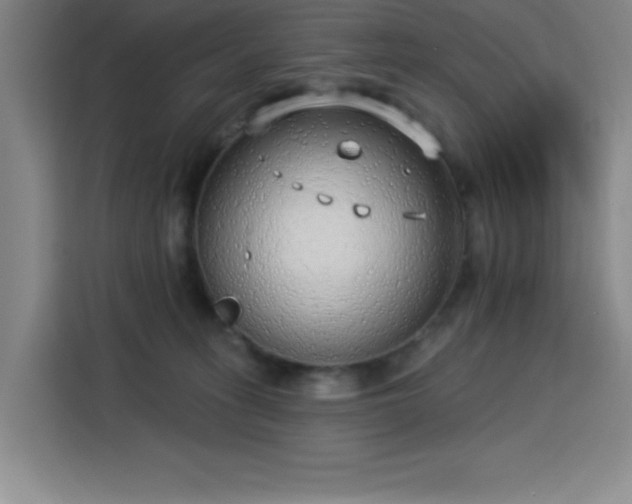 X0000113740275200909301017