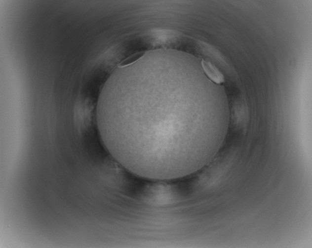 X0000113740276200909301017