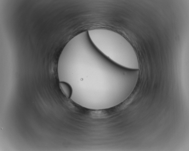 X0000113740281200909301017