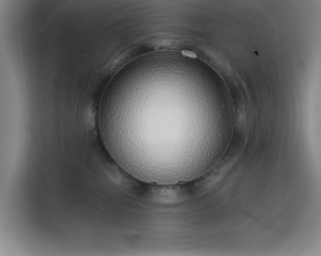 X0000113740282200909301017