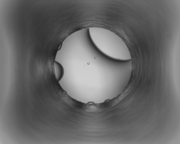 X0000113740285200909301017