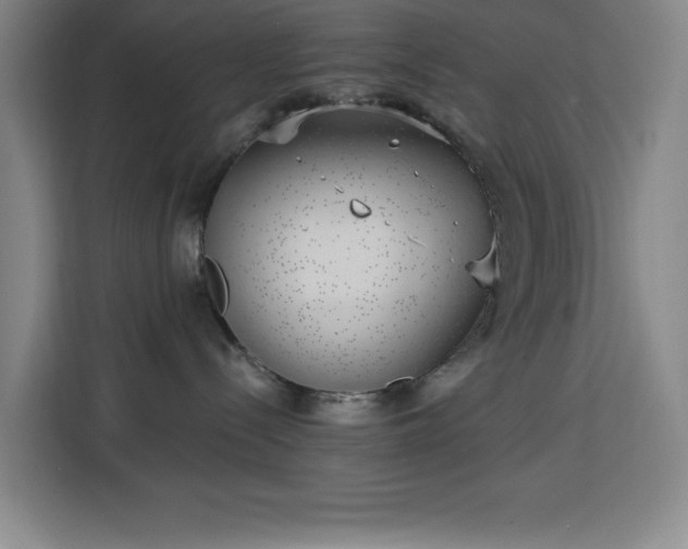 X0000113740288200909301017