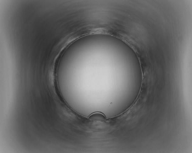 X0000113740290200909301017