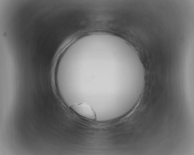 X0000113740293200909301017