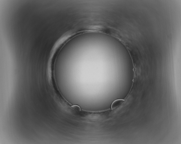 X0000113740294200909301017