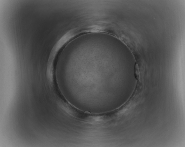 X0000113740295200909301017