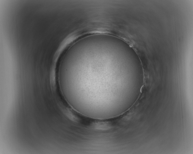 X0000113740296200909301017