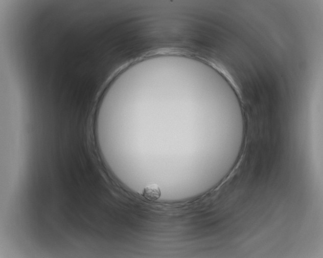 X0000113740297200909301017