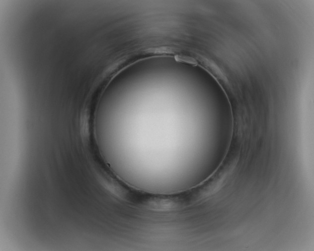 X0000113740299200909301017