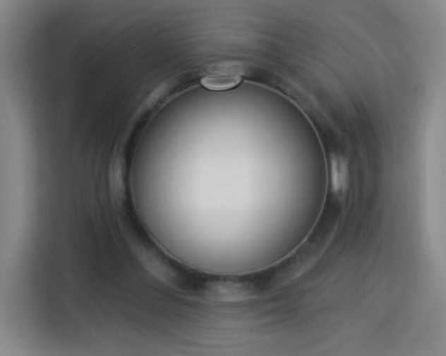 X0000113740300200909301017