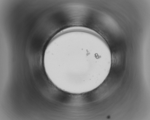 X0000113740301200909301017