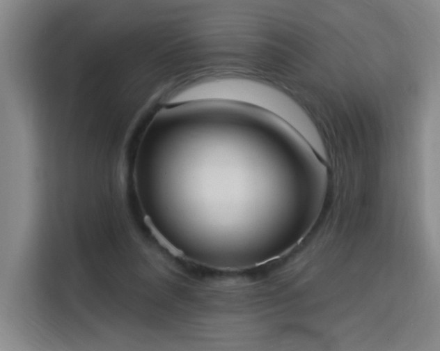 X0000113740304200909301017