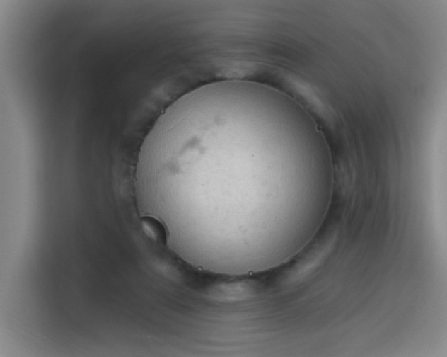 X0000113740307200909301017