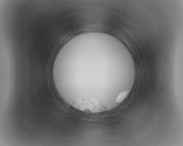 X0000113740309200909301017