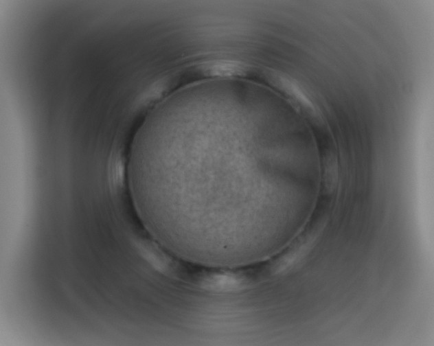 X0000113740310200909301016