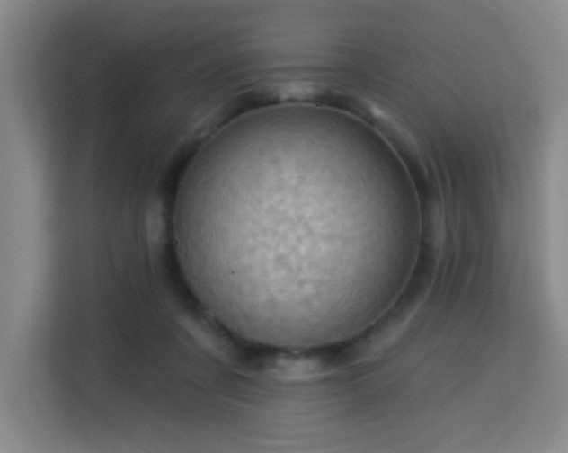 X0000113740311200909301016