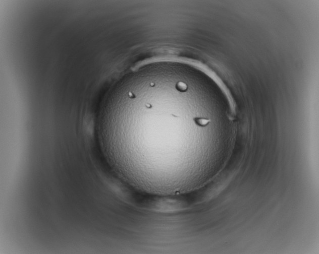 X0000113740315200909301016